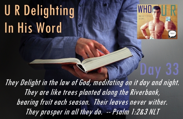day 33 who u r delighting in his word psalm 1 2 and 3 logos day 33